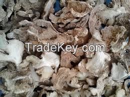 High Quality Grade A Dried Split Ginger for Export