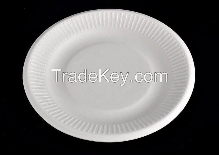 Disposable  paper plates