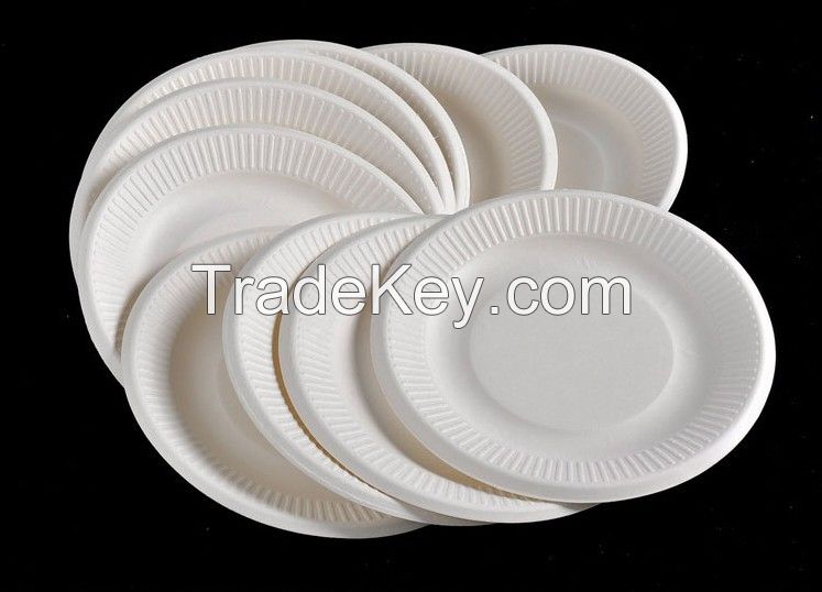 Disposable  paper plates