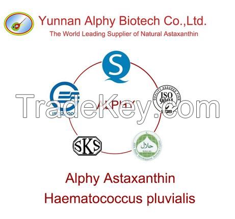 2.5% natural astaxanthin biomass, 100% Haematococcus pluvialis powder, plant extract astaxanthin