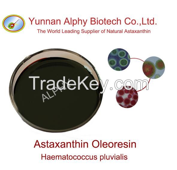 10% astaxanthin oil, 100% natural astaxanthin oleoresin, Haematococcus pluvialis extract astaxanthin
