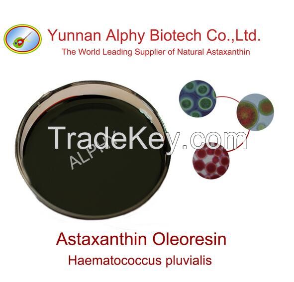 5% astaxanthin oil, 100% natural astaxanthin oleoresin, bulk astaxanthin oil Haematococcus pluvialis extract astaxanthin oil