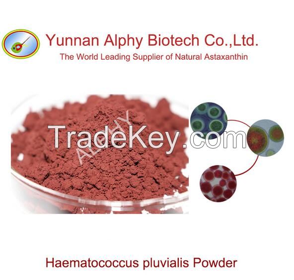 2% astaxanthin powder 100% natural Haematococcus pluvialis powder, plant extract