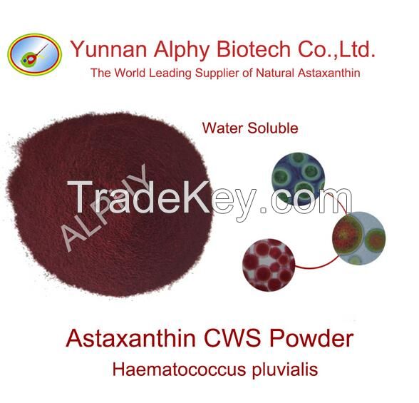 2% natural astaxanthin CWS powder water soluble astaxanthin powder Haematococcus pluvialis astaxanthin powder water soluble