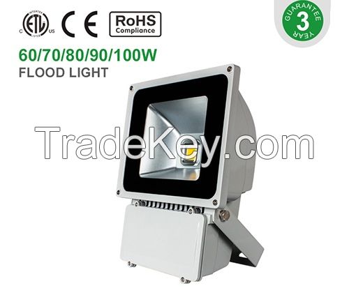 30-150W LED flood light DF13SMD Series