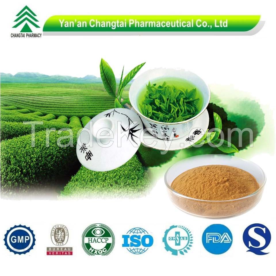 Natural Tea Polyphenols Green Tea Extract