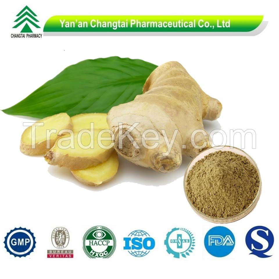 Factory supply natural Gingerols 10% 15% 20% Ginger extract