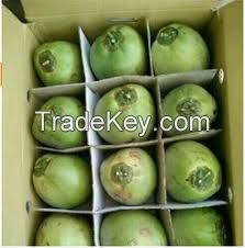 The best of young coconut, Special Species, Natural Sweet Tatse and Good Smell (Ma Praw Nam Horm) from Thailand