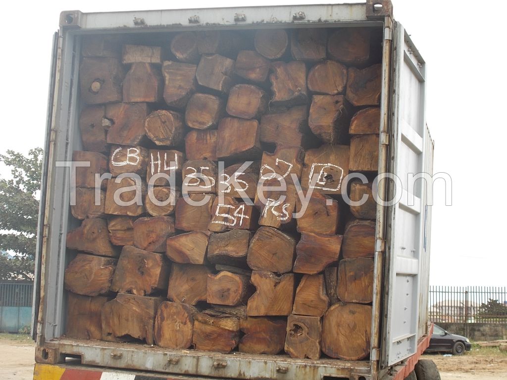 Kosso logs, Appa logs For Sale And Export