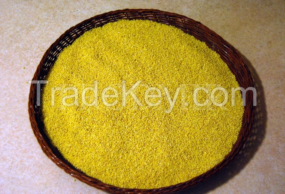 Yellow hulled millet 