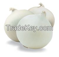 Fresh Indian Onions