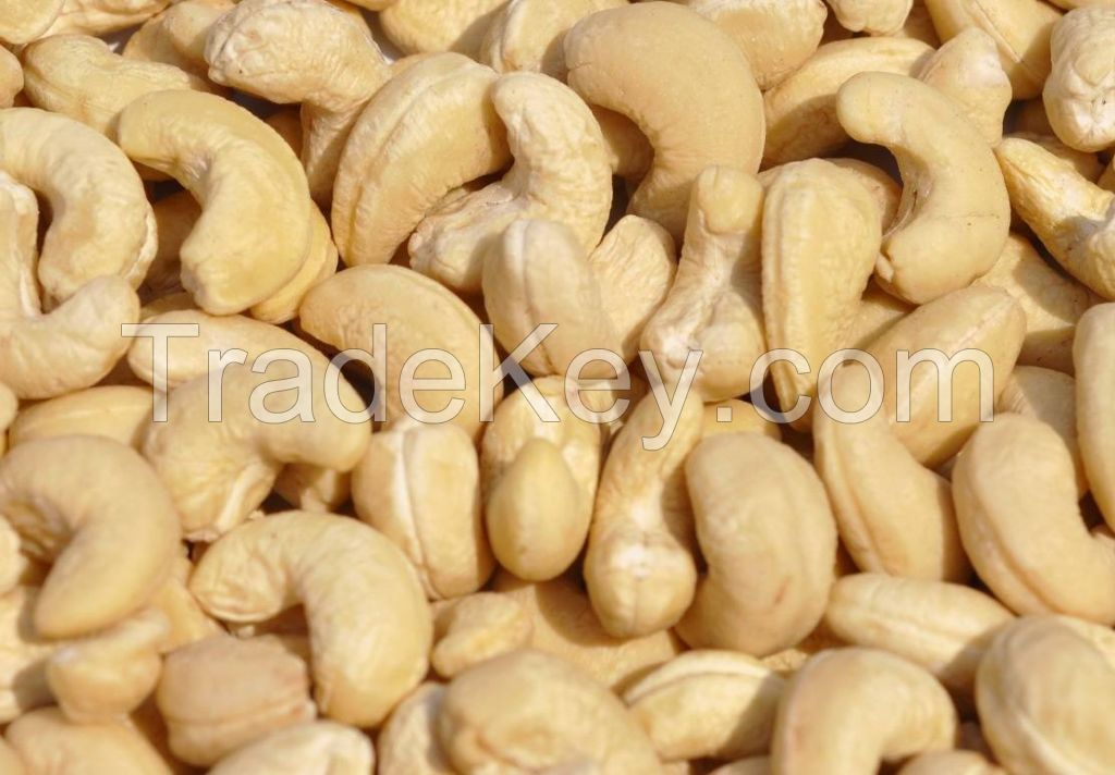 Processed Cashew  Nuts