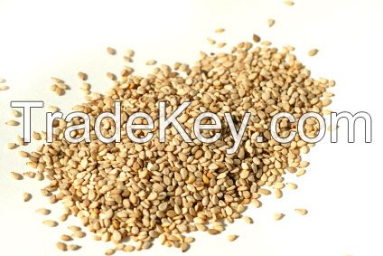 Ethiopian Sesame Seeds