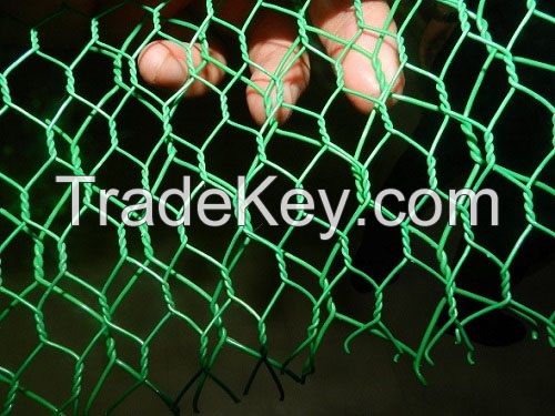 good quanlity hexagonal wire netting