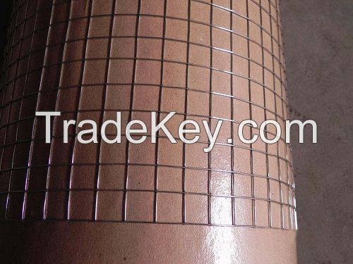 galvanized welded wire mesh