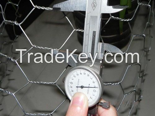 China manufacturer hexagonal wire mesh
