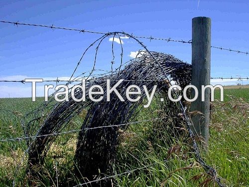 low price barbed wire fence 