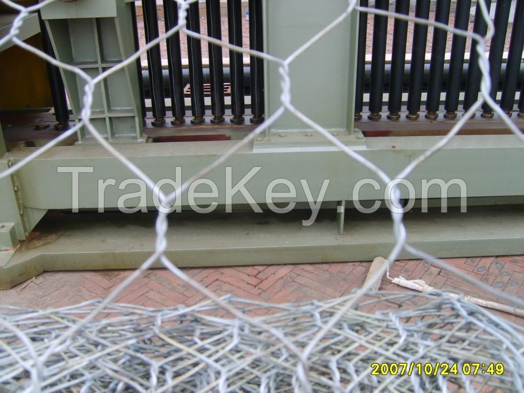 Hexagonal chicken wire mesh