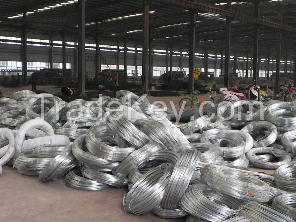 Galvanized Wire