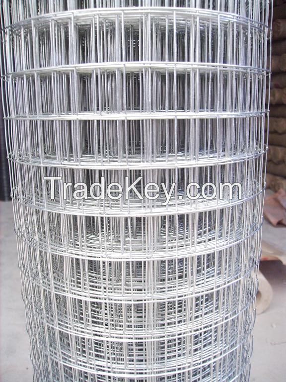 welded wire mesh manufacturer