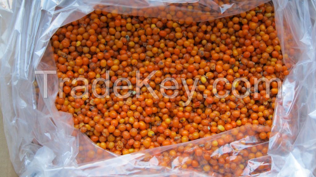 Sea Buckthorn