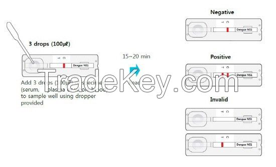 Dengue Combo Rapid Test Kit