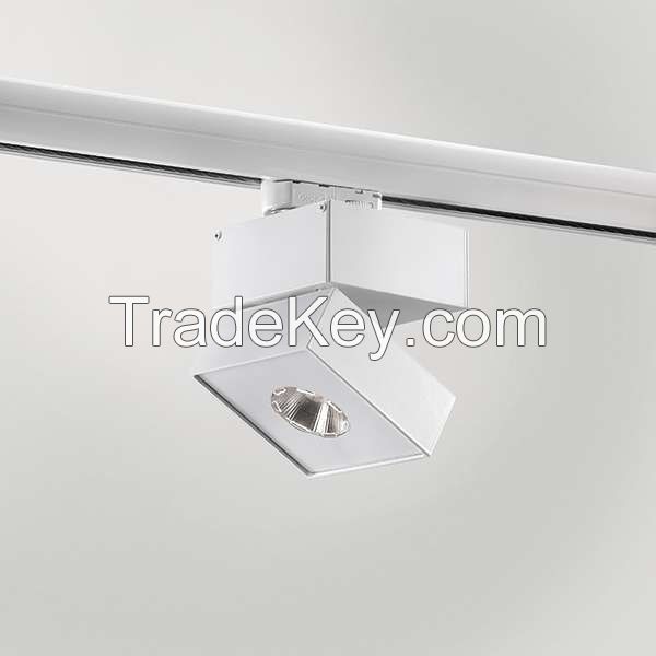 Adjustable projector with LED lighting system