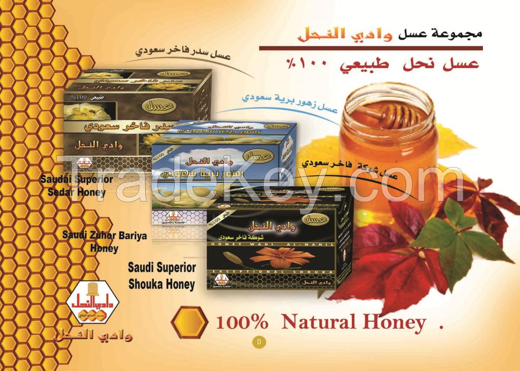Natural pure Honey