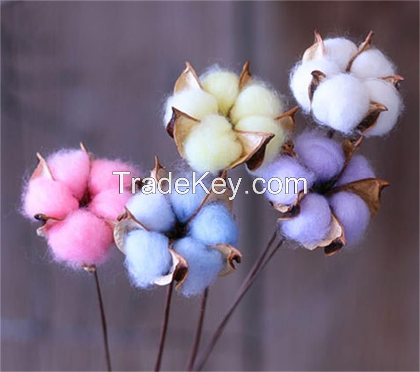 colorful dyed Painted Dried natural Cotton ball boll bud Stalks
