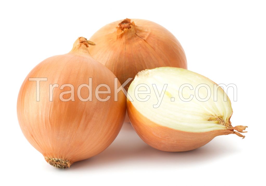 Onion 320$/ton - Yellow, White, Red  Min order 20t.