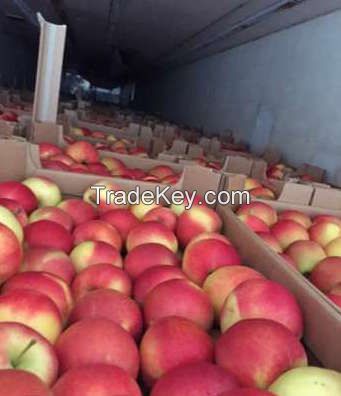 Apples - 300$/ton - Gala, Aidared and more than 10varieties. Min order 20t