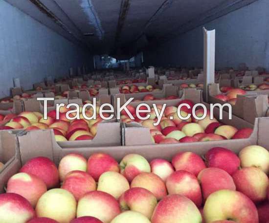 Apples - 300$/ton - Gala, Aidared and more than 10varieties. Min order 20t