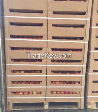 Apples - 300$/ton - Gala, Aidared and more than 10varieties. Min order 20t