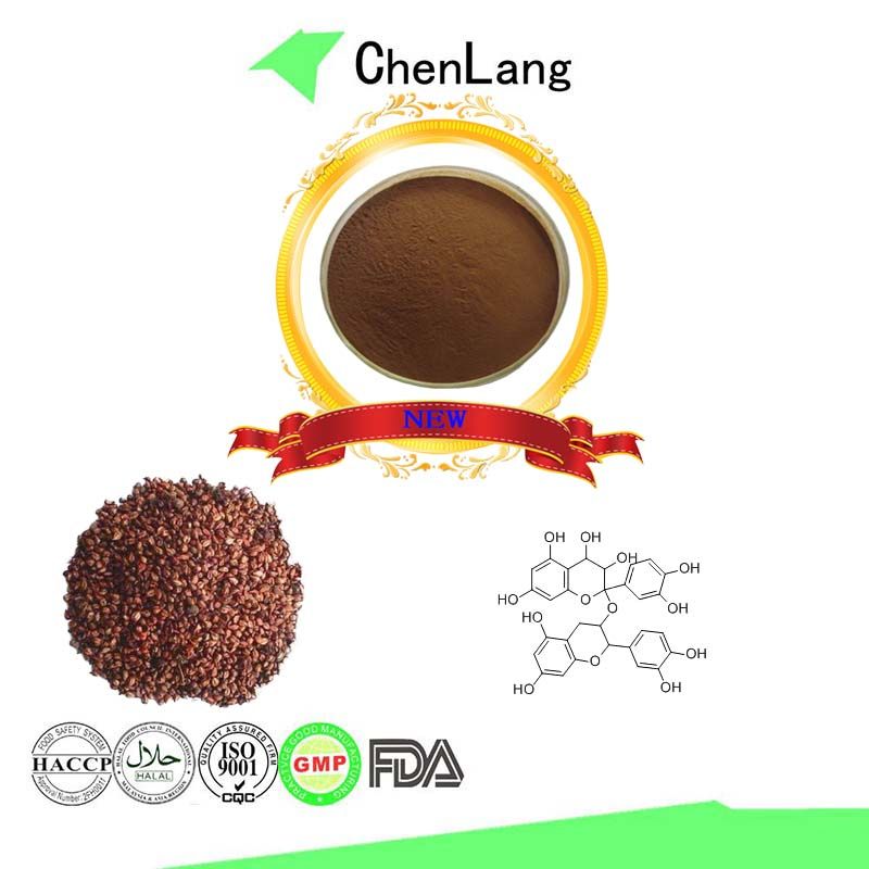 Good Quality Control Grape Seed Extract OPC 95%
