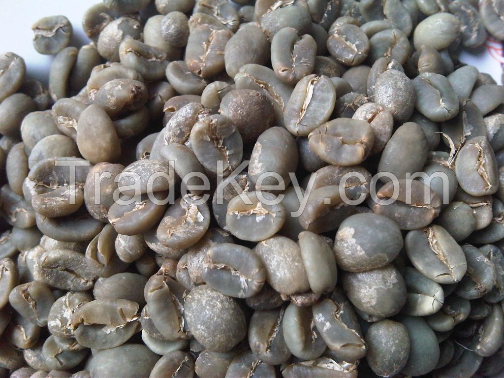 Arabica Java Coffee Semiwashed