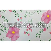 Color galvanized Print-coating plate