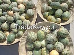 Kalahari Melon seed oil