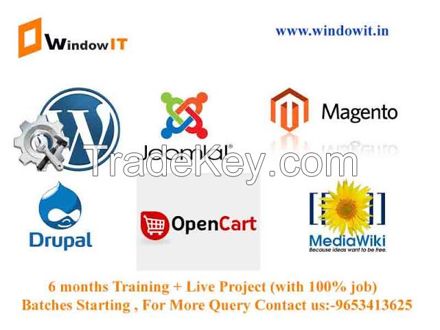Web Design Training | Windowit
