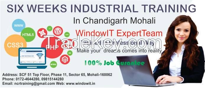 PHP Training in Chandigarh At Windowit