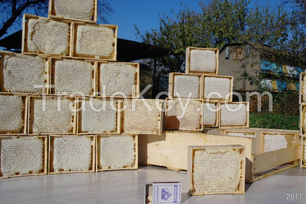 Honey in small sectional transparent plastic boxes and the wooden frames with honeycombs were packed by the bees itself.