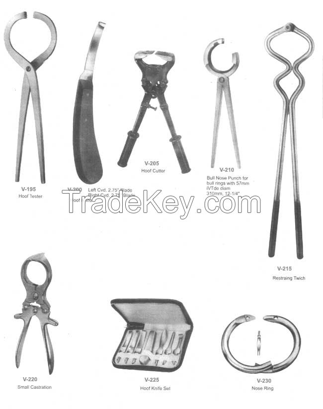 Veterinary Instruments