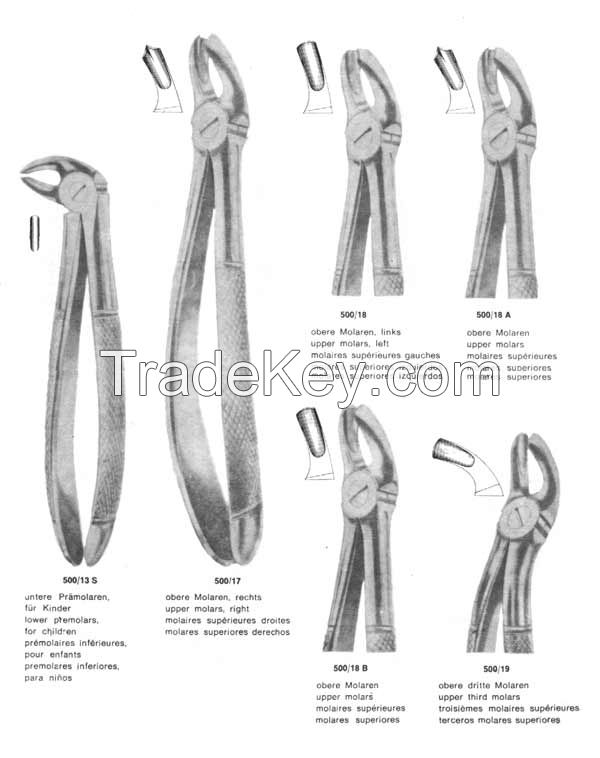 Extracting Forceps "American"