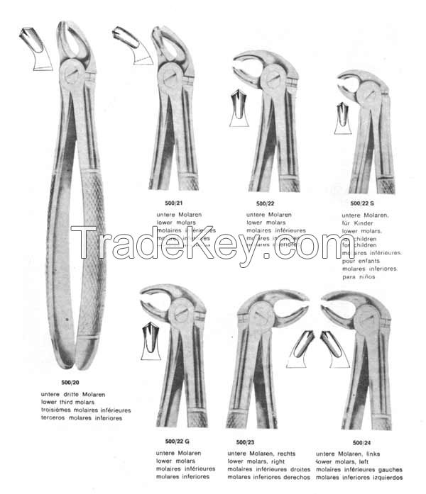 Extracting Forceps "American"