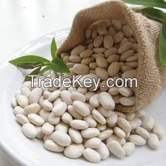 High quality Natural White Kidney Bean Extract podwer