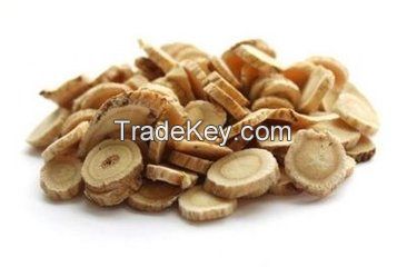 High quality Astragalus root Extract