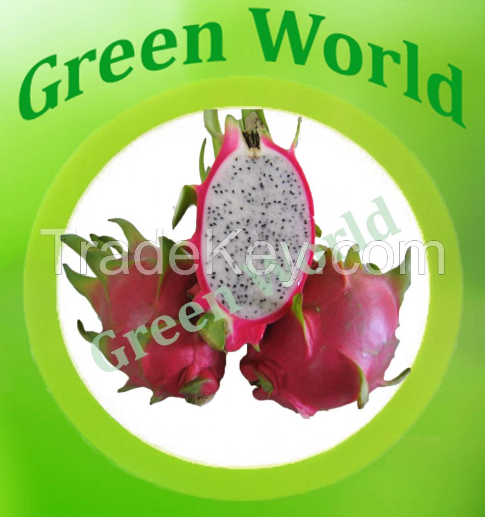 FRESH DRAGON FRUIT BEST QUALITY AND PRICE FROM VIETNAM
