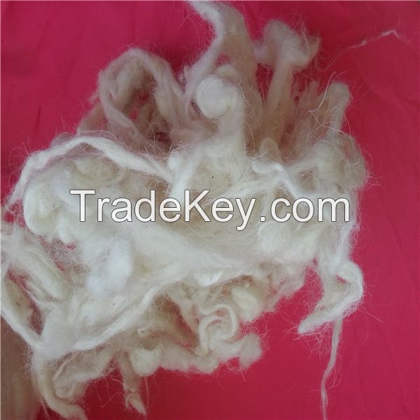 Chinese scoured sheep wool