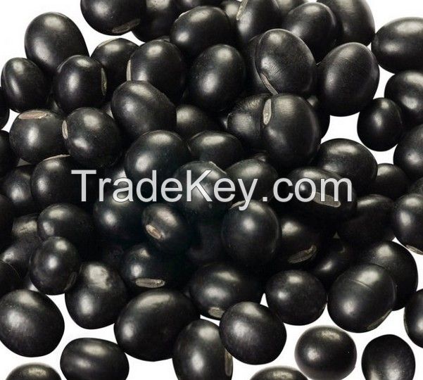 Black beans with resonable price 