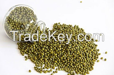 Green mung beans vigna beans chinese 