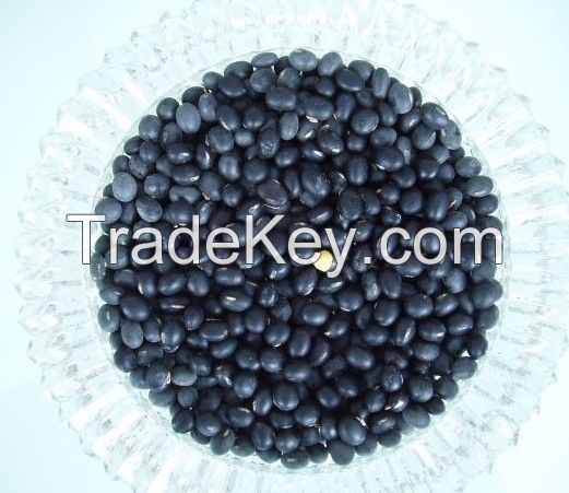 Black beans with resonable price 